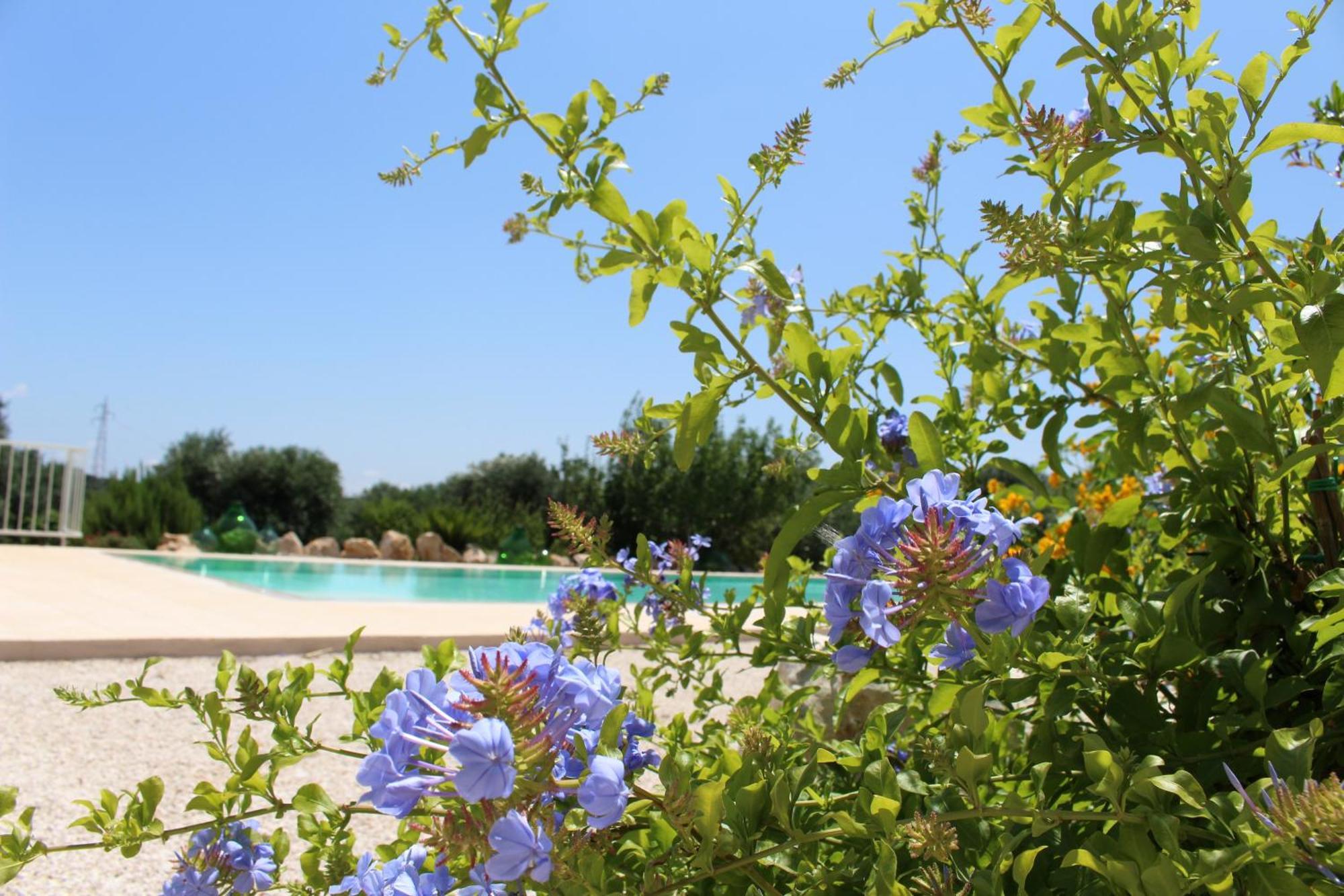 Trullo Il Melograno Guest House Ostuni Exterior photo