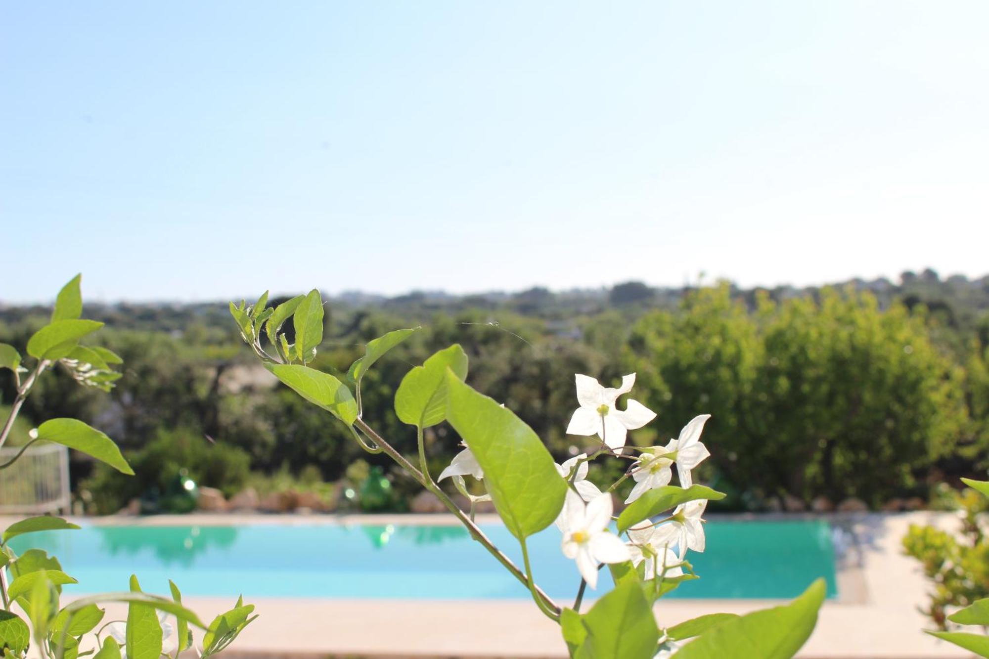 Trullo Il Melograno Guest House Ostuni Exterior photo